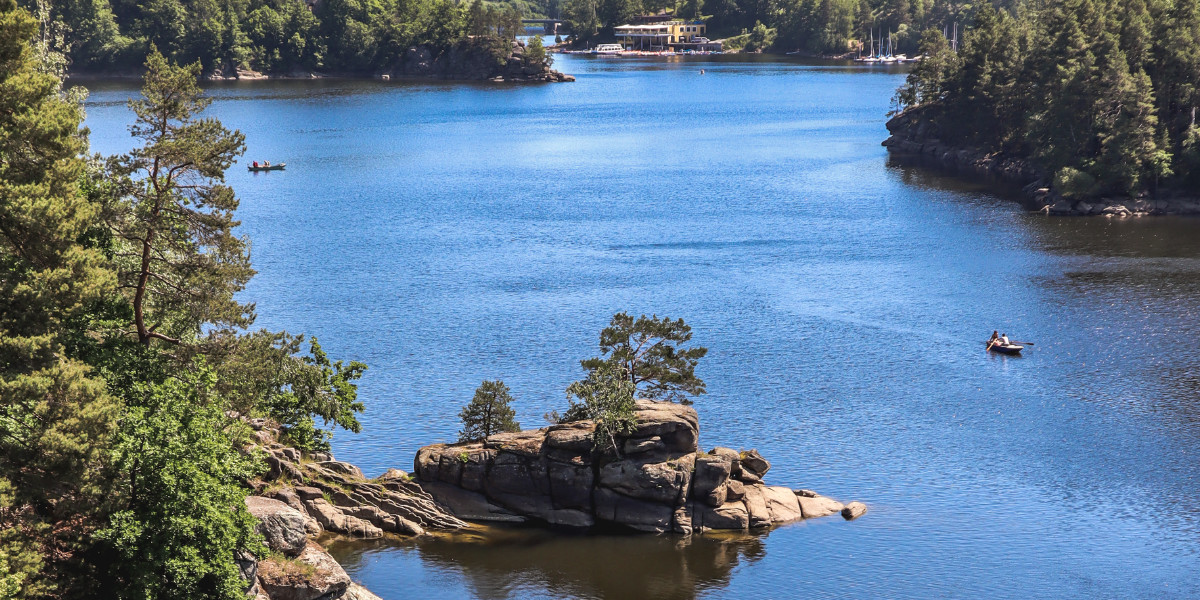Natur am Stausee Ottenstein im Sommer